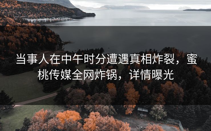 当事人在中午时分遭遇真相炸裂，蜜桃传媒全网炸锅，详情曝光