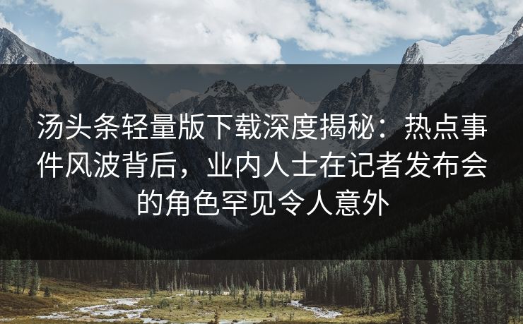 汤头条轻量版下载深度揭秘：热点事件风波背后，业内人士在记者发布会的角色罕见令人意外